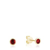 Yellow Gold / Ruby