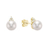 Cultured Freshwater Pearl / Yellow Gold